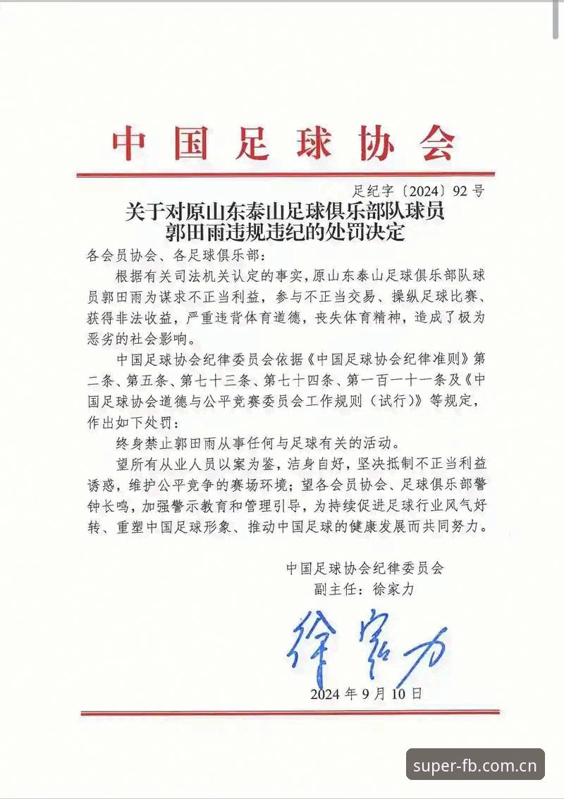 中国足协第三批禁足名单深度评测：65人受罚背后的行业净化之路